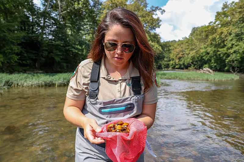 Woman with mesh bag filled with mussels