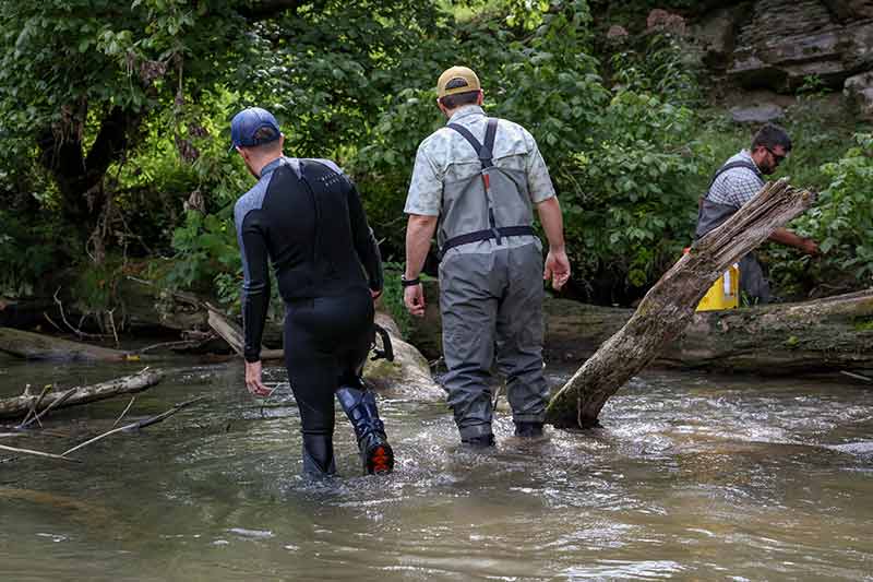 People walk through stream to search for mussels