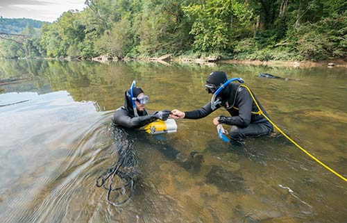 biologists-in-water