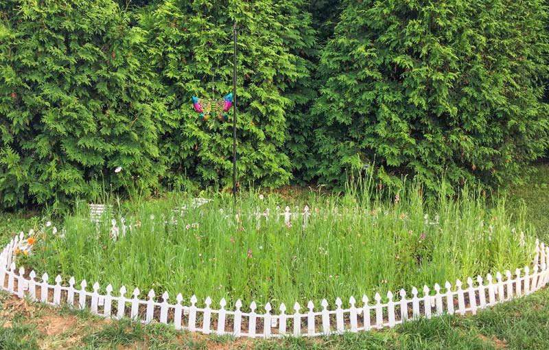 A butterfly garden is hemmed in by a small fence in the yard of a Tennessee home