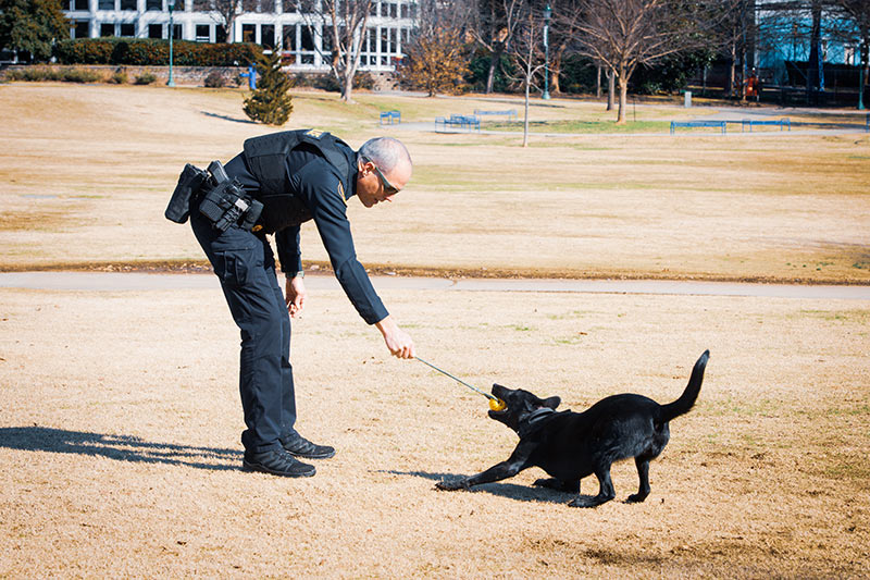 TVA Police K-9s show discipline and focus, even during play.