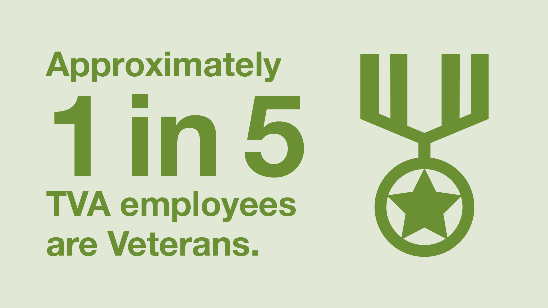approximately 1 in 5 TVA employees are Veterans