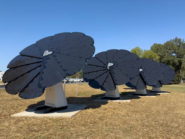 Chickamauga Solar Flowers