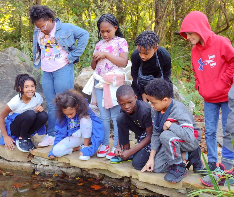A group of children from Knoxville-area schools gather around the edge of a pond at Ijams Nature Center in Knoxville, Tennessee