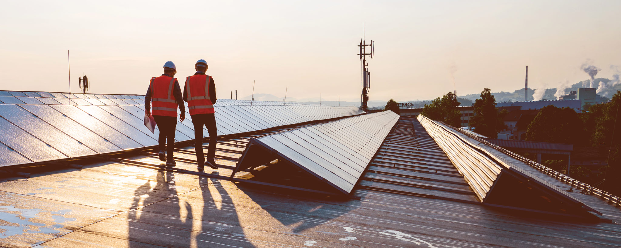 Workers on a solar farm Workers on a solar farm