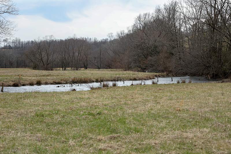 A creek running through farmland in Tennessee