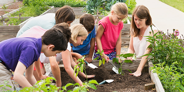 Teacher planting with children