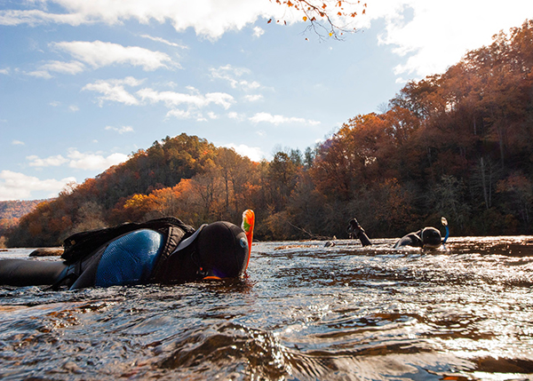 Snorkeling for mollusks