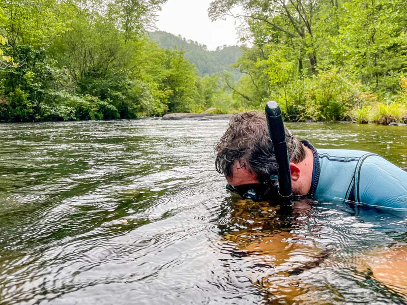 A TVA team member wears a snorkel to examine underwater species in the Hiwassee River