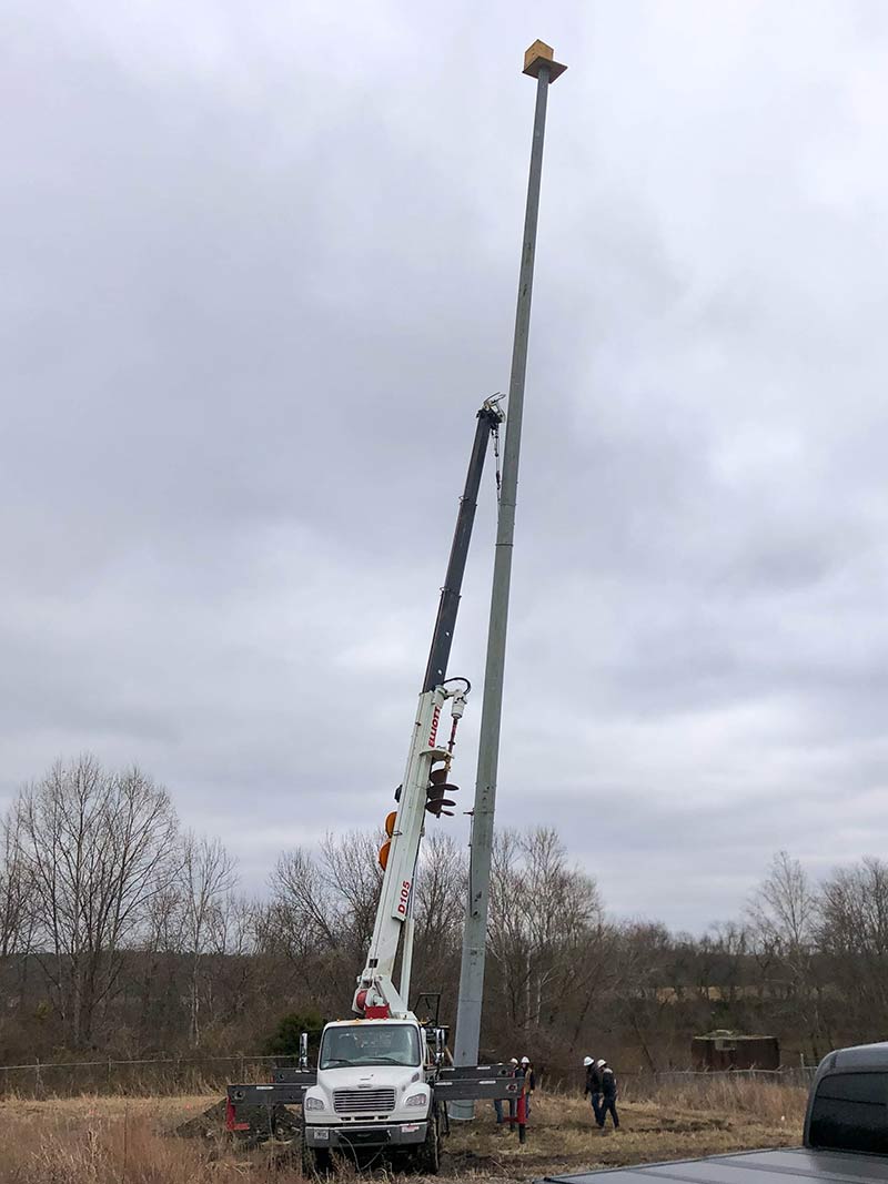 Crews erect large pole to hold nesting box.