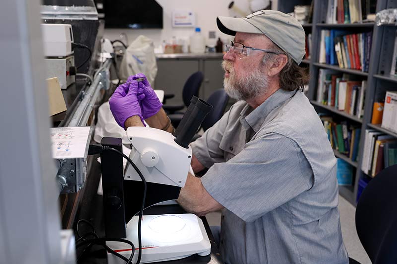 Dave Matthews examines fish sample under microscope