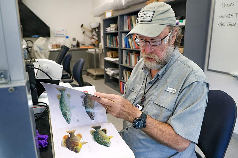 Dave Matthews looks through book of fish