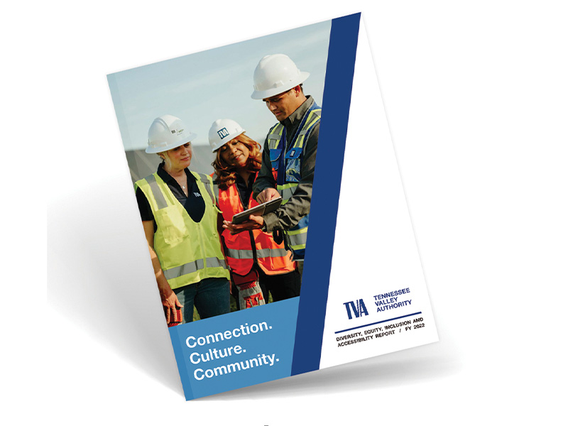 FY2022-DEIA_3D-cover 2022 DEIA