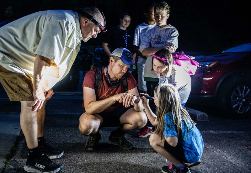 A group of children and adults use a flashlight as they inspect a beetle