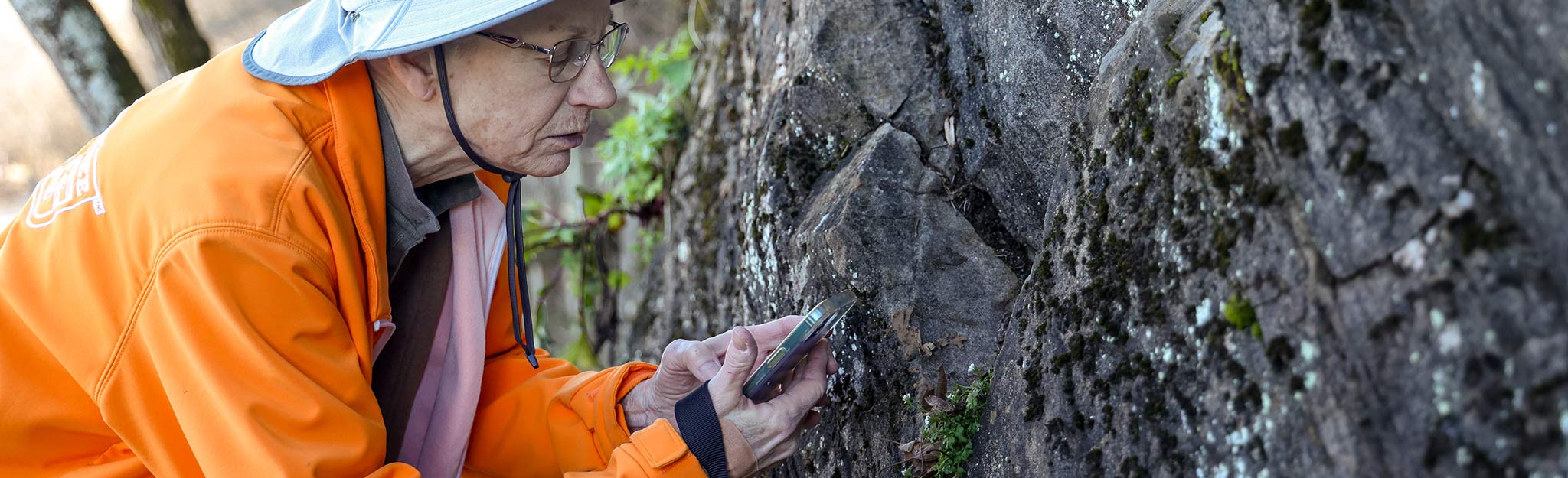 Woman inspecting plant species