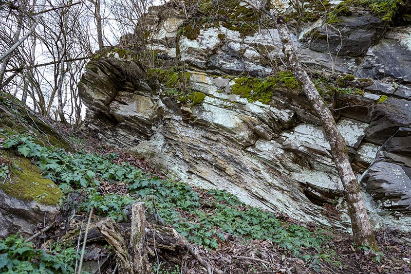 Cliffs along the Tennessee River