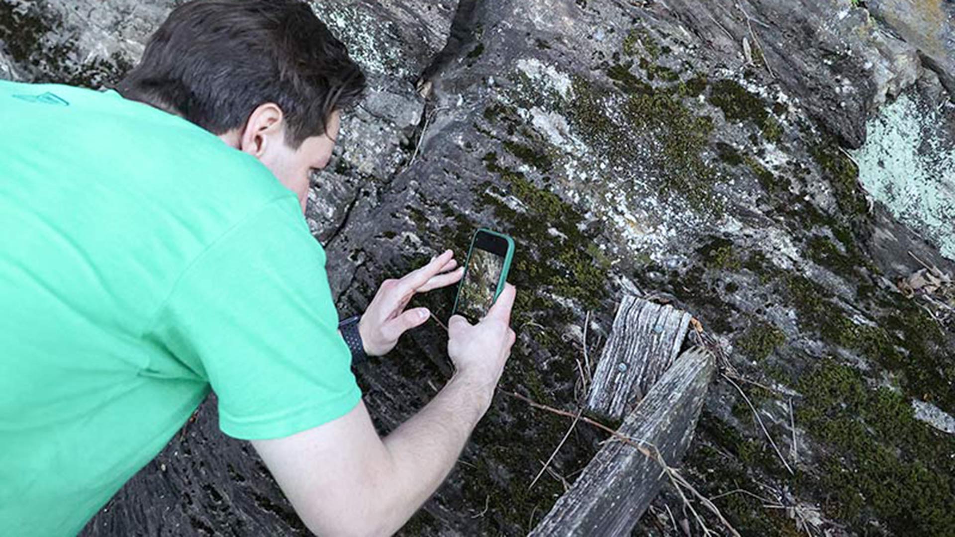 Man using smartphone to capture image of plant