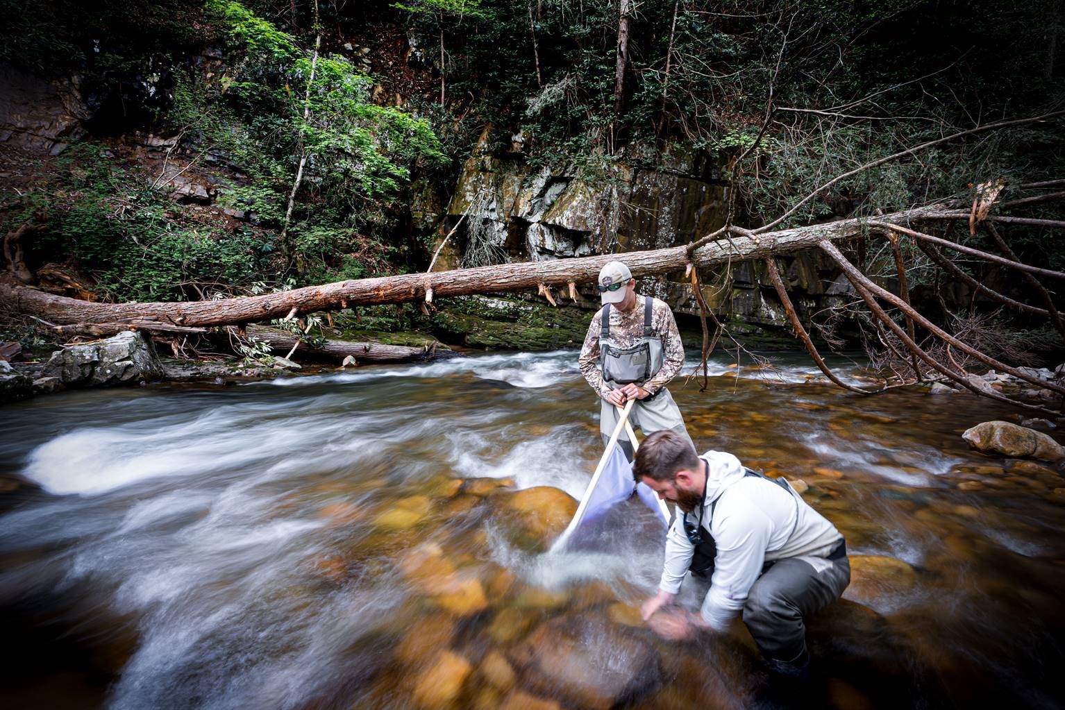 Jon Michael Mollish in the stream