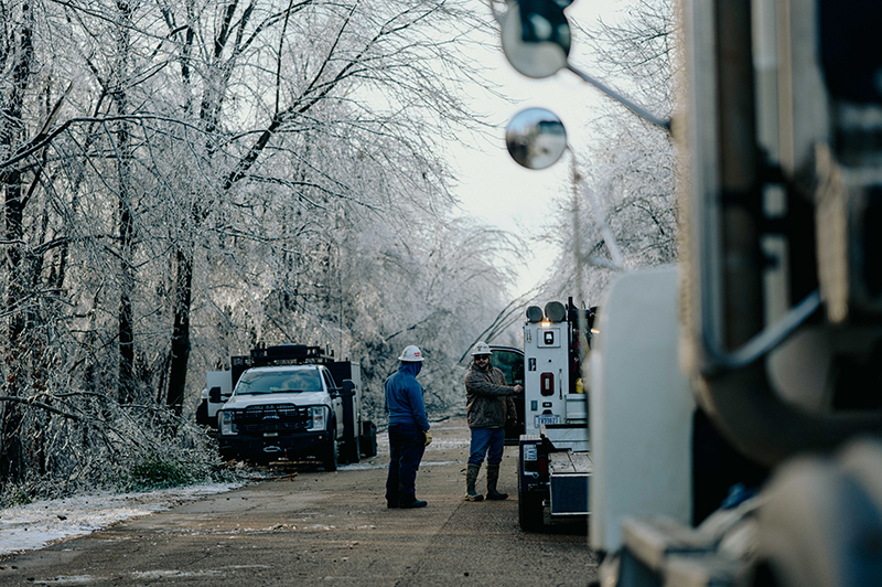 Lineworkers on street with downed trees, Mississippi, following Winter Storm Fern