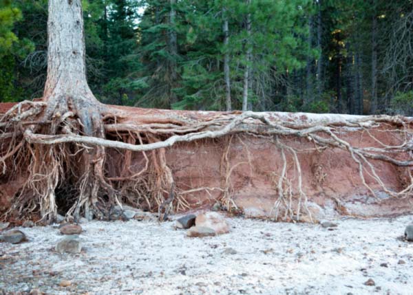 soil erosion