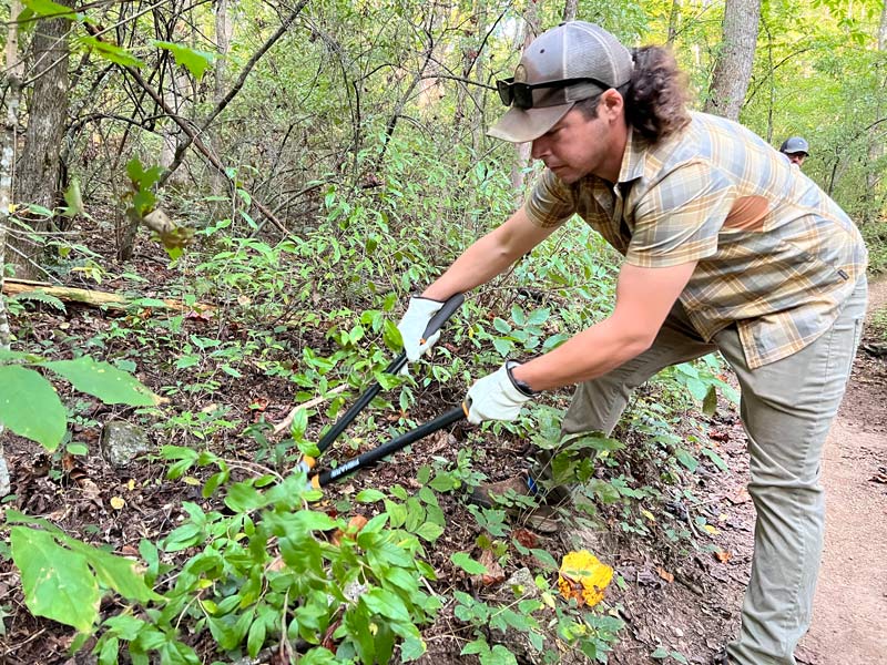 A man uses a lopper to cut back brush at a Loyston Point mountain biking trail