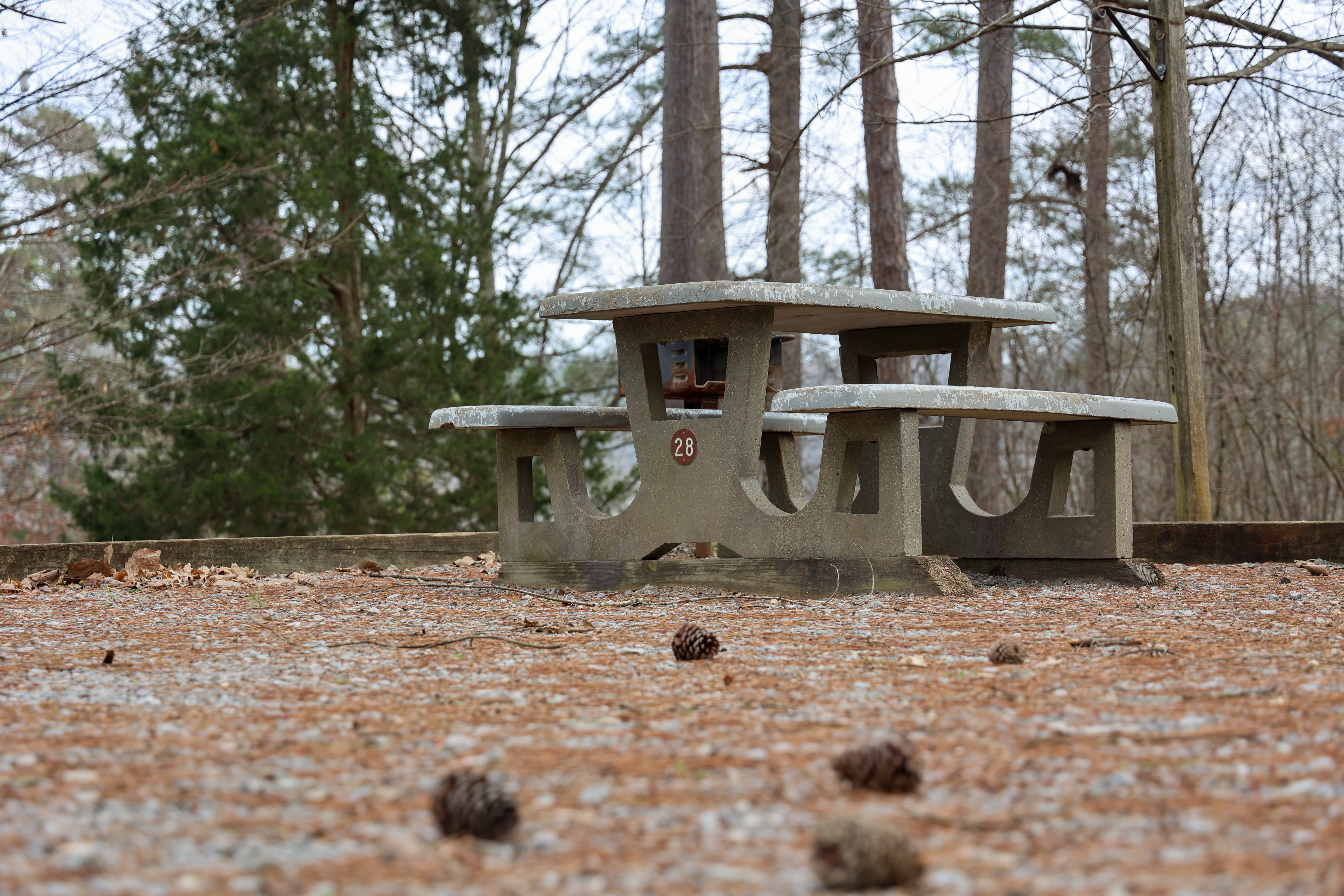 Picnics, camping and outdoor fun are all available at TVA's reservoir campgrounds.