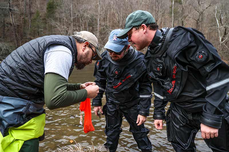 Group of three people closely inspect mussels