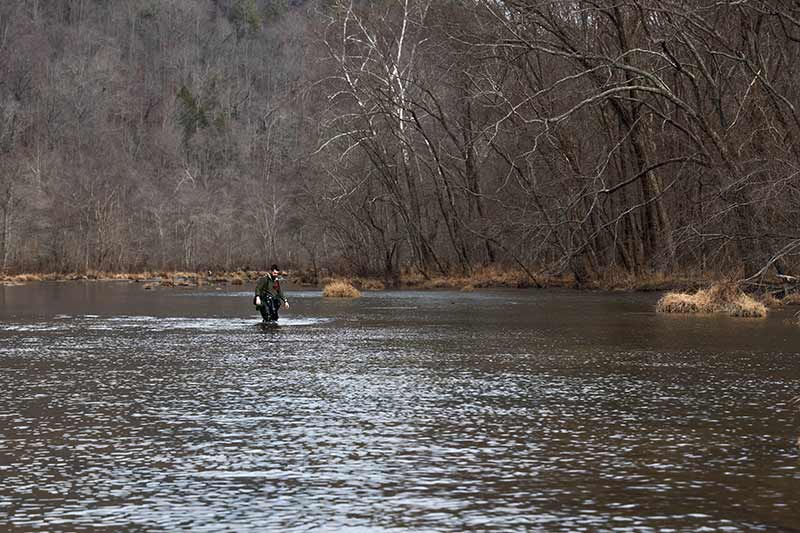 TVA biologist Matt Reed during the Mussel Recovery Initiative.