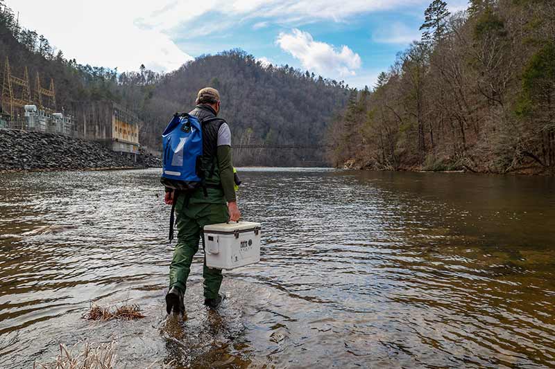 Person walking through shallow water carrying a cooler.