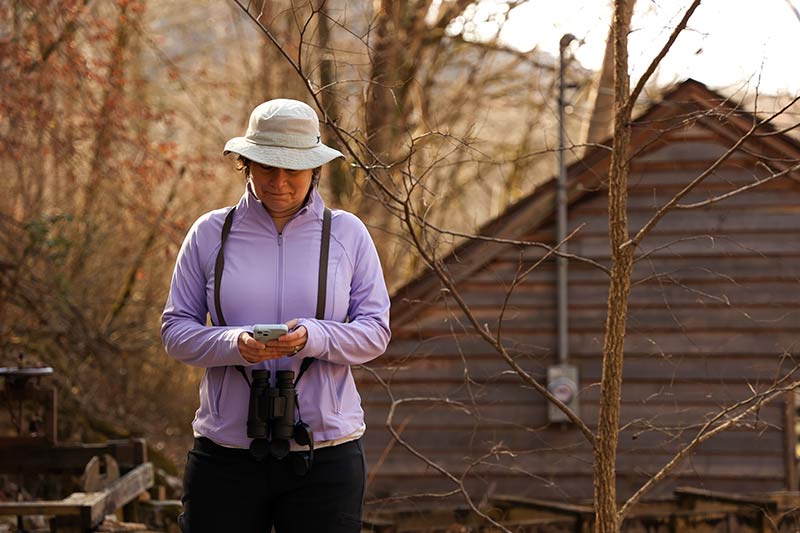 Norris Reservoir birdwatcher looks at birding app on phone