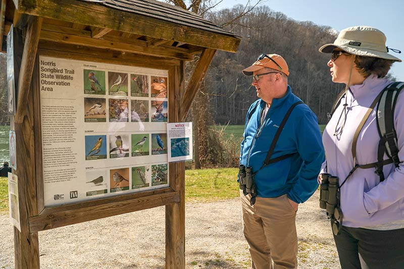 Norris Reservoir visitors view a large sign featuring bird photos