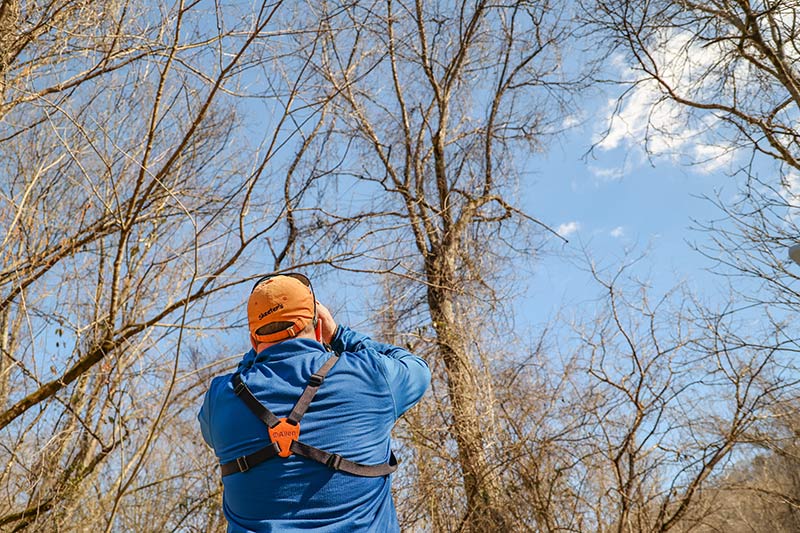 Birdwatcher peers up toward trees at Norris Reservoir