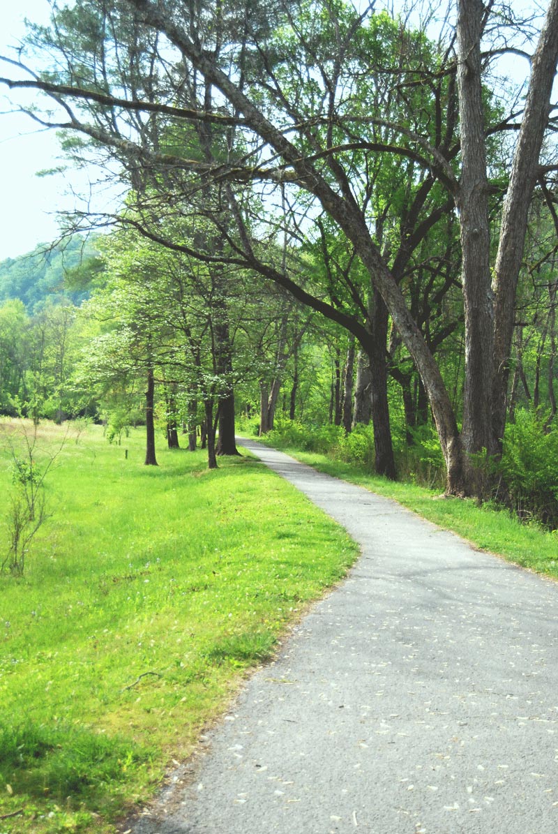 Norris Songbird Trail 