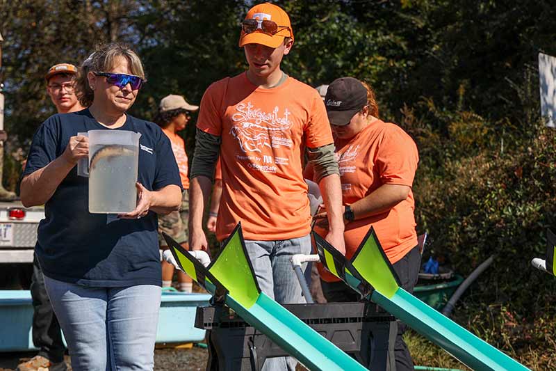Sturgeonfest is held on the French Broad River