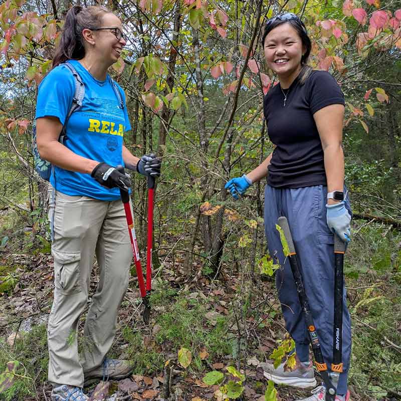 Volunteers help remove invasive plants