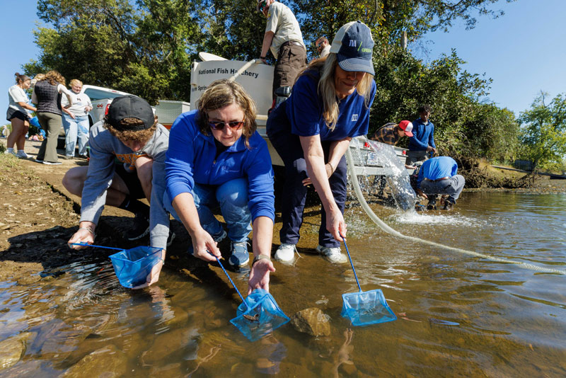 TVA team members at Sturgeonfest help release sturgeon into the French Broad River
