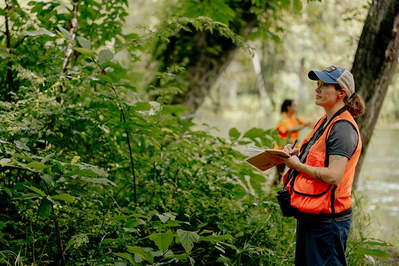 Sara McLaughlin-Johnson surveys habitat in the Tennessee River region