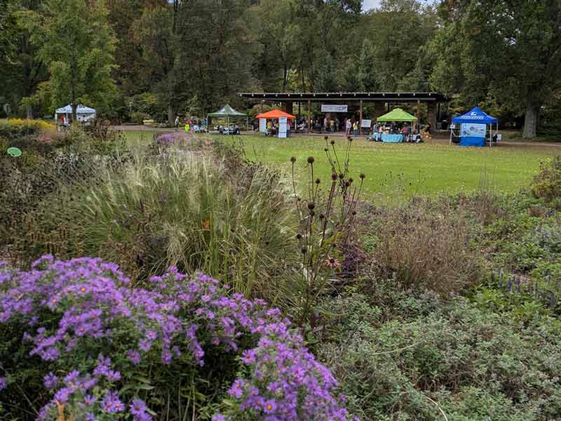 Smart Yards use native plants