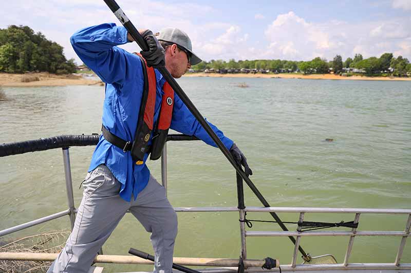 Zach Bennett nets fish that the crew will assess and release during the spring sport fish survey.