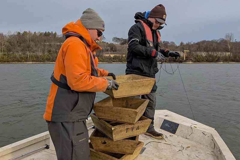 TVA employees prepare to survey sturgeon population in Tennessee River