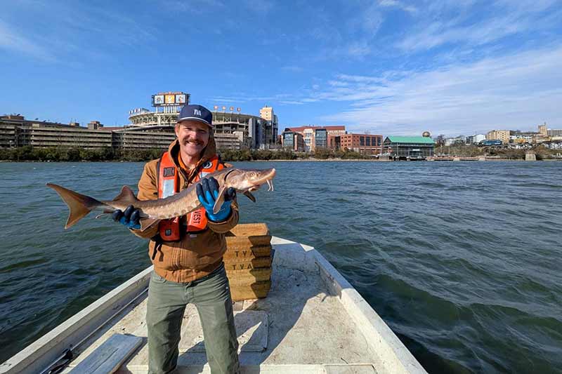 Man on boat holding sturgeon