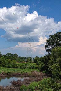 River crossing wetlands tower image