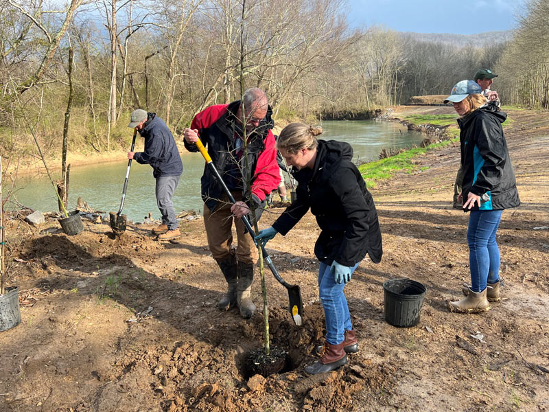 TVA’s Natural Resources team joins partners to celebrate several successful bank restoration efforts with a tree planting event