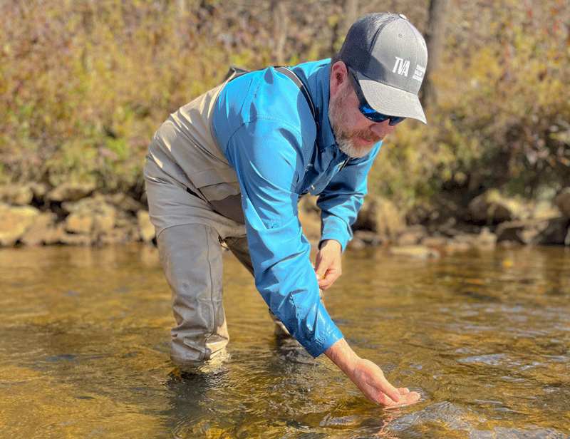 A TVA employee carefully reintroduces mussels into a river