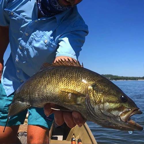 tnriversmallmouth