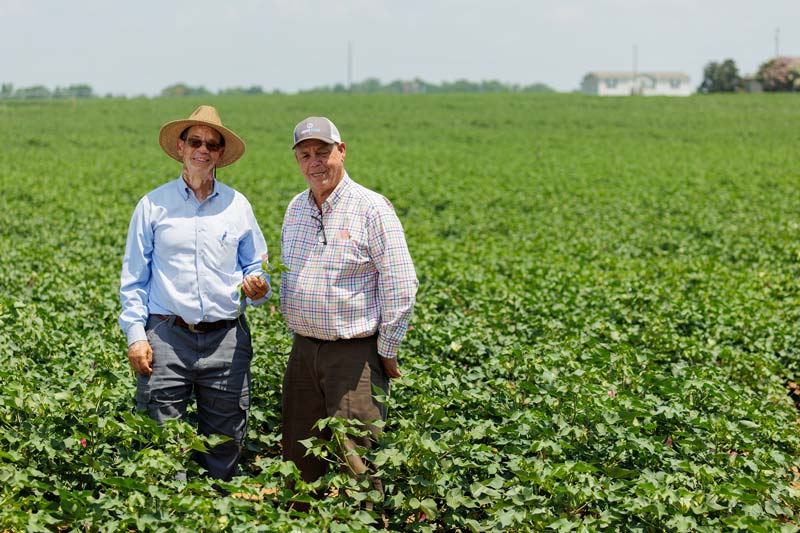 Two Bridgeforth farmers smile at the camera as they stand amid deep, green crops