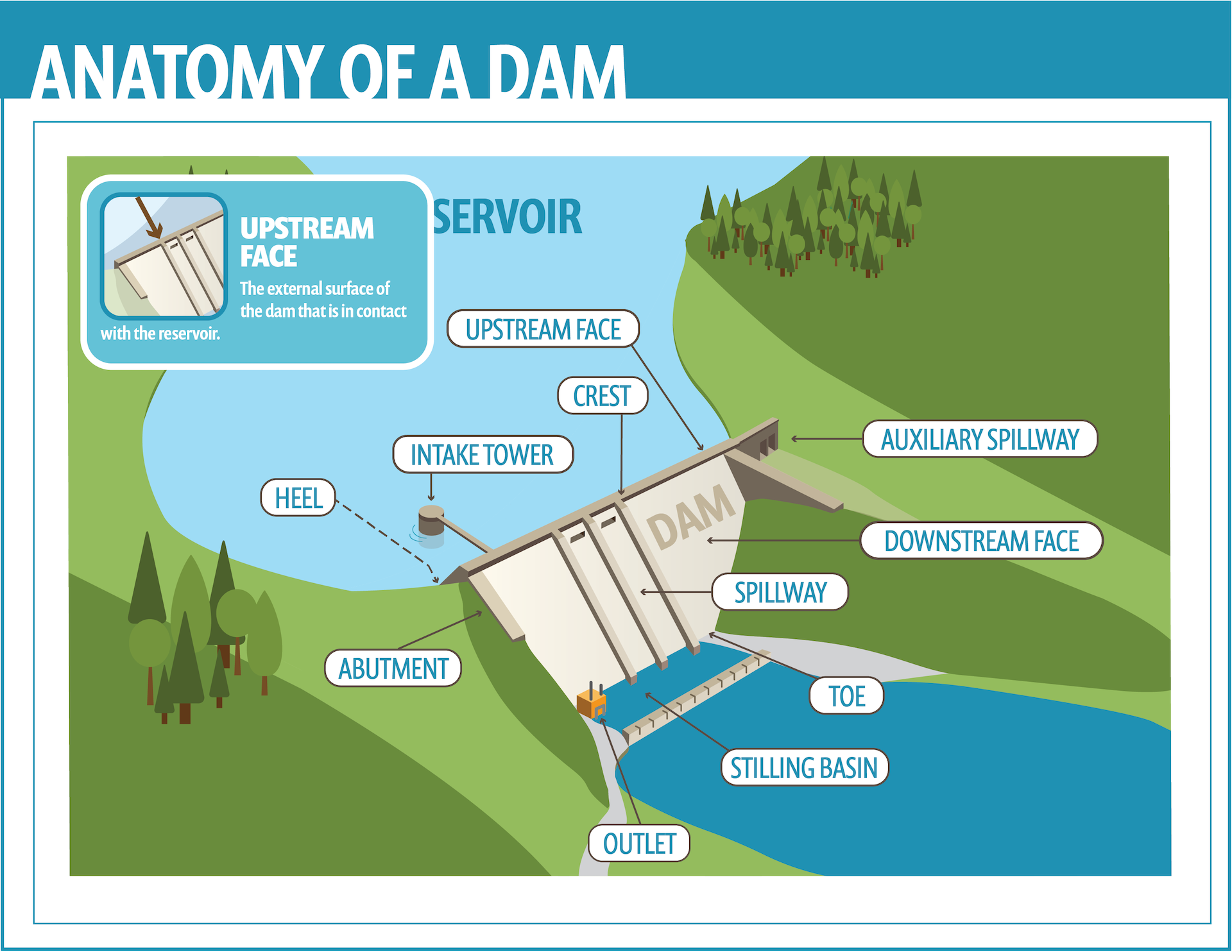 Anatomy of a dam