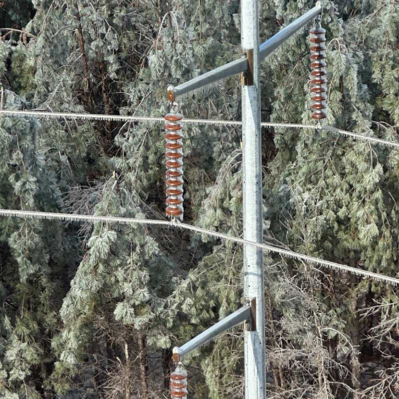 Ice on transmission line and insulators