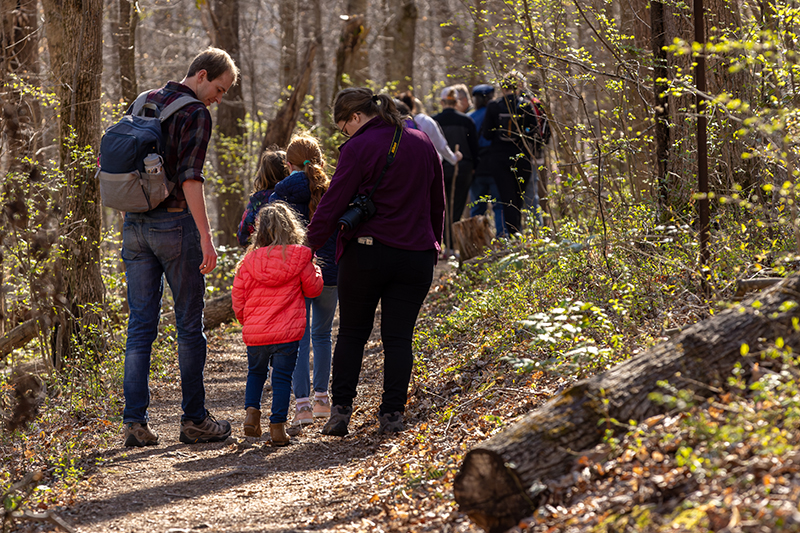A family walks along a woodland trail