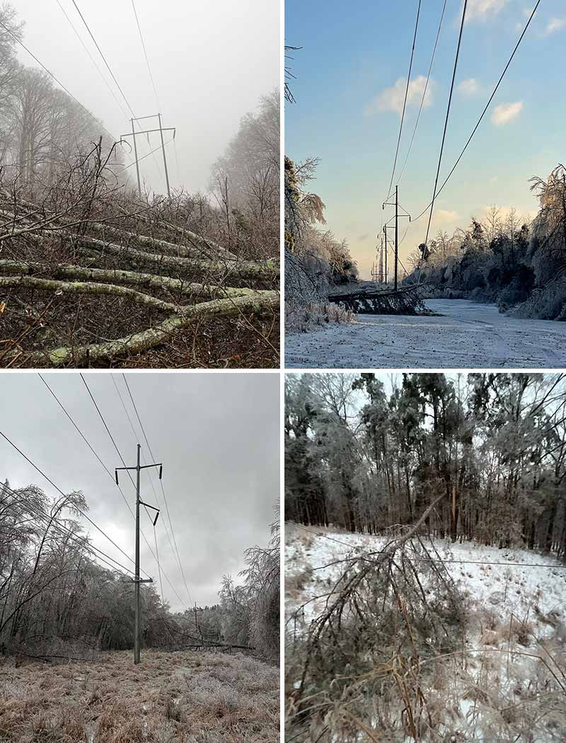 Four photos with trees impacting transmission lines